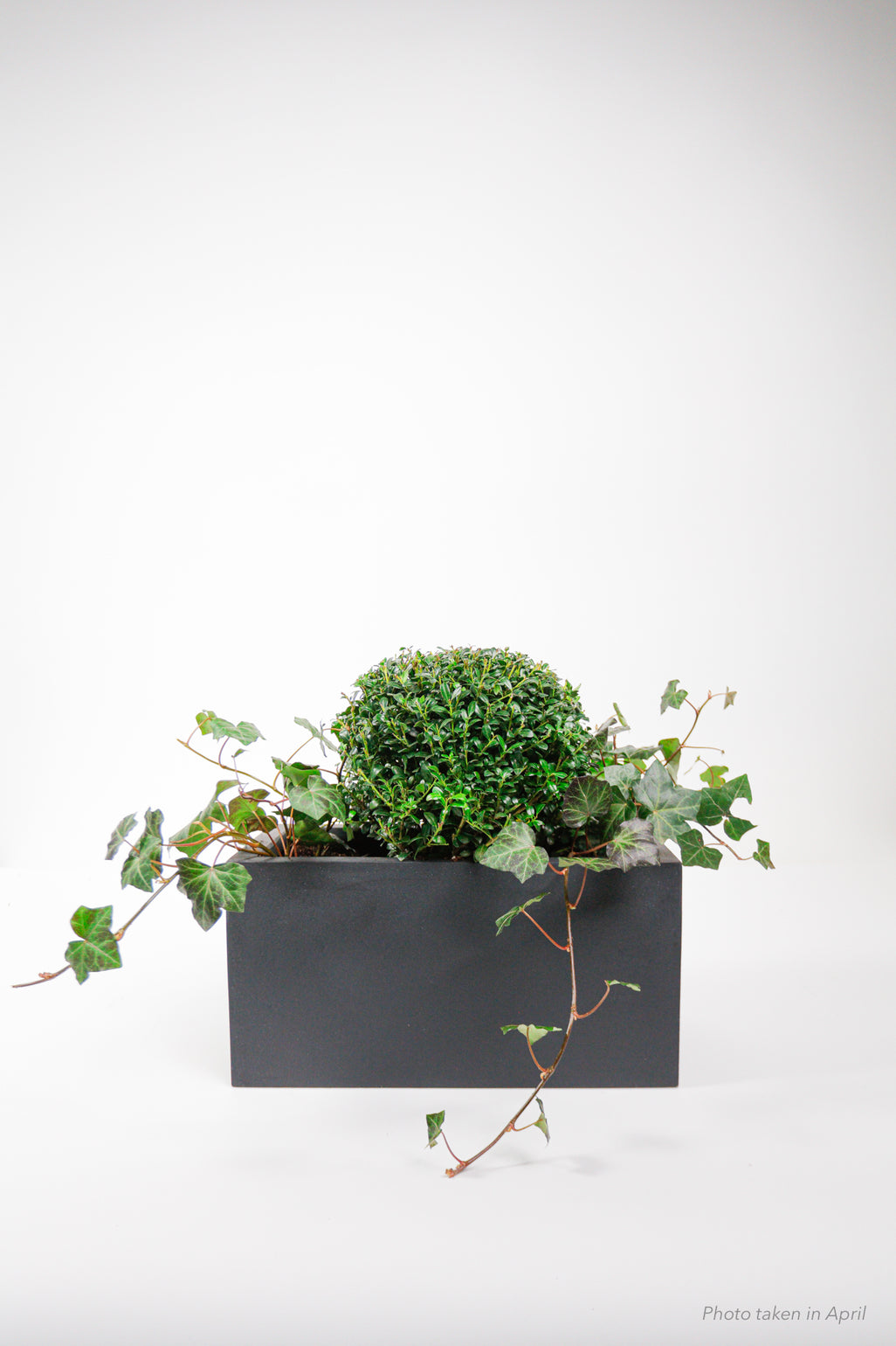 products/SotoProductShootLowQ-2039.jpg
